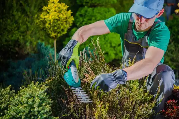 landscaping services Shaw